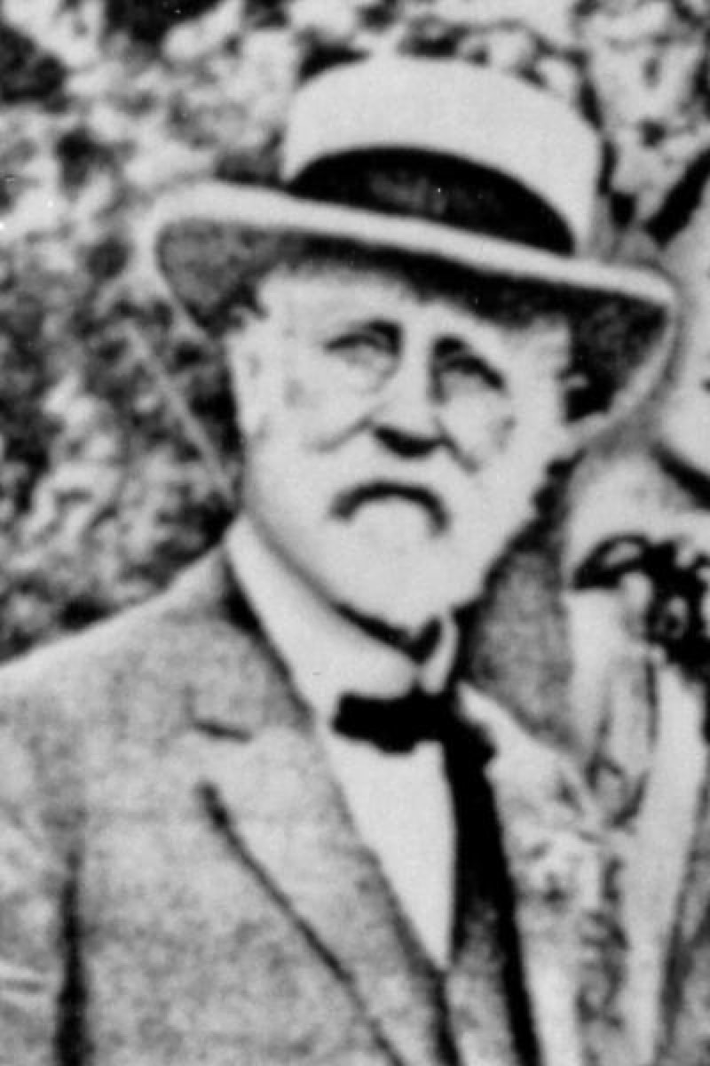 Retrato de Greene Vardiman Black